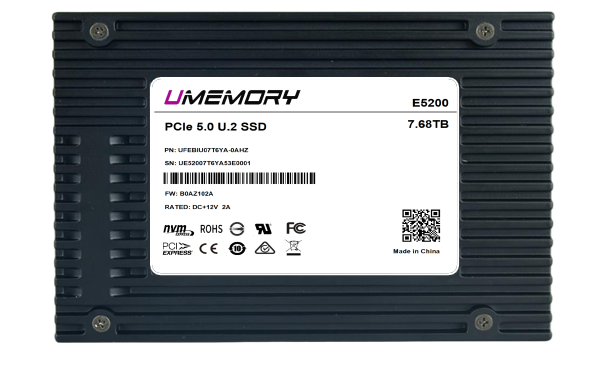 SSD ระดับองค์กร